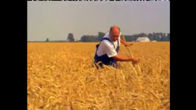 EL FIN DE LA COSECHA