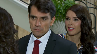 C-37 Lo que realmente importa