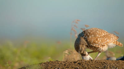 1 Relaciones extrañas